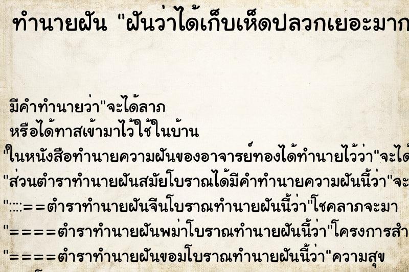 ทำนายฝัน ฝันว่าได้เก็บเห็ดปลวกเยอะมาก 